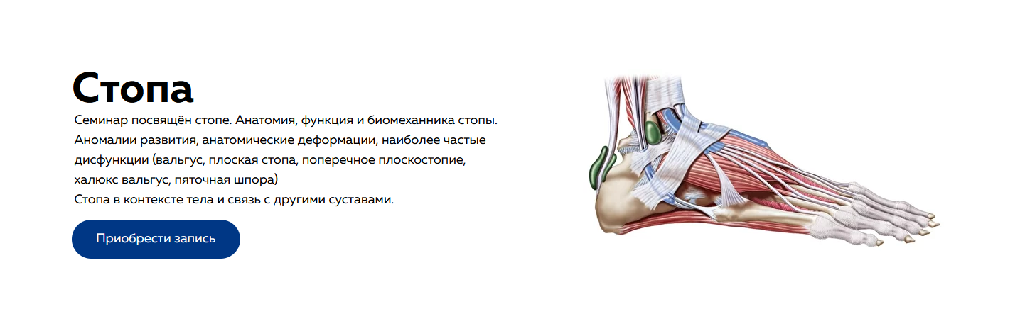 [Дмитрий Кущик, Григорий Крутов] [NL-School] Cтопа_0.png